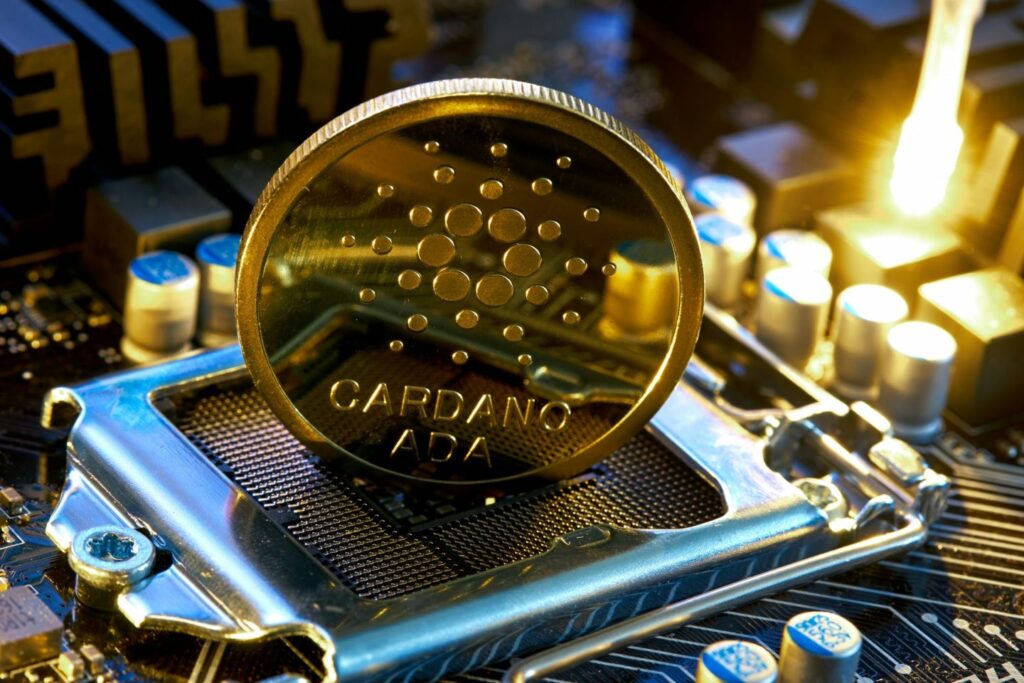 Gorilla introduces quantum-safe SD-WAN for AI and national security Gorilla introduces quantum-safe SD-WAN for AI and national security