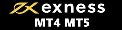 exness logo mt4 mt5